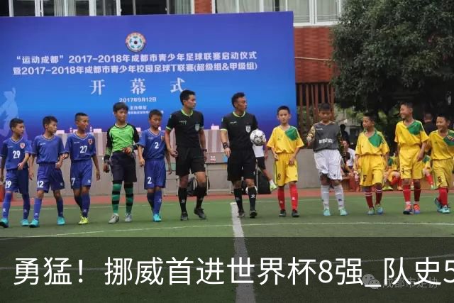 勇猛！挪威首进世界杯8强 队史5战巴西均保持不败